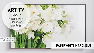 Paperwhite Narcissus ART TV | TV Art | Frame TV Art | Vintage Art TV 3 Hrs Art ScreenSaver Paintings