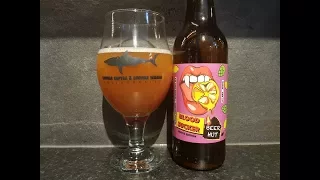 Beer Hut Blood Sucker IPA By Beer Hut Brewing Company | British Craft Beer Review