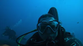 #scubadiving with whitetip reef #shark on a #wreckdive @raddadchad