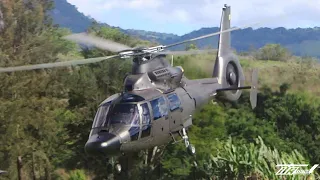 Helicóptero Pantera do Exército decolando