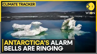 Melting Antarctica's past spells devastating future sea level rise | WION Climate Tracker | WION