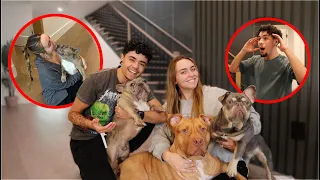 OUR BABIES MADE IT TO LA! Reuniting with the pups + Antonios first time seeing the house!