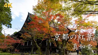 【Canon EOS R6】京都の紅葉　真如堂　Autumn leaves in Kyoto Shinnyodo