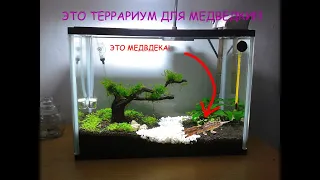 Я сделал террариум для медведки!