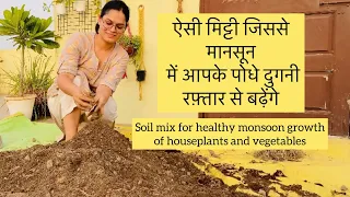 #Soilmix for fast growth of house plants and vegetables during monsoon