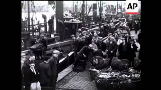 Yarmouth Herring Catch