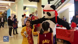 Cleveland Cavs celebrate Chinese New Year with "special theme" home game