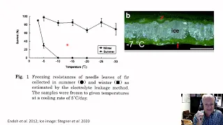 Photosynthesis response to environment C -  low temp. effects; temperature acclimation/adaptation