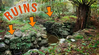 Abandoned Village in Tasmanian Rainforest