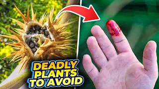 Danger Alert: Top 10 Dangerous Plants & Trees You Should Never Touch!!