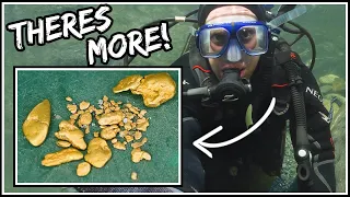 Scuba Diver Finds Bedrock LOADED in GOLD!