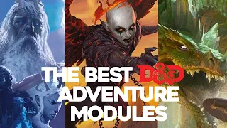 The 5 BEST Adventures for New D&D Players