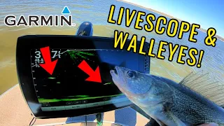 Using LIVESCOPE For Late Fall WALLEYES!! (Epic Bite)