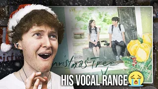 HIS VOCAL RANGE! (BTS V - Christmas Tree (Our Beloved Summer) | OST Reaction)