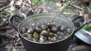 Solo Bushcraft Trip, Camping Alone In The Forest, Cooking Snails, Outdoor Bathe, Free Life