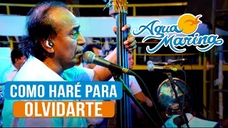 Agua Marina - Como haré para Olvidarte (En Vivo)