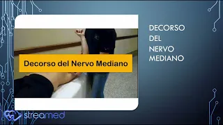 Nervo Mediano: Test e Decorso Anatomico - Marcello Bettuolo