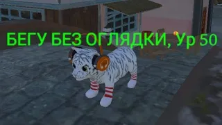 Я vs ОХОТНИКИ | Cat simulator