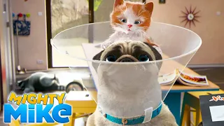 MIGHTY MIKE 🐶 The cone of shame 📣 Episode 05 - Full Episode - Cartoon Animation for Kids