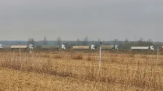 'Hora punta' en el campo de Cubillas de los Oteros (León)