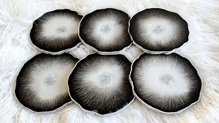 #1360 Gorgeous Striations In These Black And White Resin Coasters