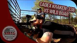 Cadex Kraken .338 vs Wild Boar