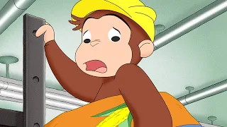 🐵 George, o Curioso 🐵As tortilhas do Marco 🐵 Desenhos AnimadosS