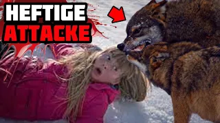 Dieses Wolf SUPER RUDEL Tötete 6 Kinder!