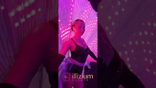 🦚 LED Peacock Tails (small) - ILLIZIUM events Dubai