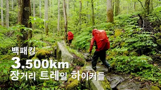 3.500km 장거리 트레일 종주자들▶︎Silent Hiking◀︎ 🏕️백패킹🏕️ 아팔란치안 트레일🏞️