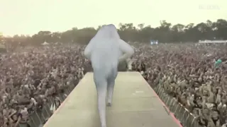 Lil Yachty Stage Entrance - Walkout Meme