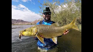 Yellow Fever @ the Orange River Part 1 (Spinning for Yellowfish)