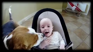 My 3 Month Old Baby Singing For the First Time | Dog and baby compilation