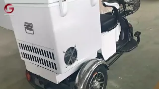 3D50A Ice cream tricycle -The Most Versatile Street & Food Vending Bike
