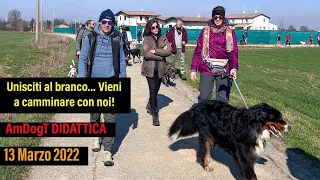 Unisciti al branco… Vieni a camminare con noi!