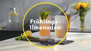 Ausgefallene Limonaden Rezepte | Lidl Sommerdrinks 🍹