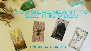 "A Powerful Message from Your Higher Self" *Pick a Card* (Timeless Tarot)