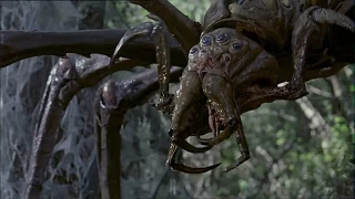 ARACHNID (2001) | Spider webs and Acid Death Scene (English subtitles)