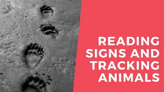 Reading Signs and Tracking Animals