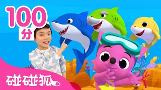 8月人氣鯊魚寶寶兒歌精選合集 | 連續播放 | 台灣配音＋英語 Baby Shark 童謠 童話故事 l Kids Song Nursery Rhymes | 碰碰狐 Pinkfong