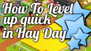 ⬆️ How to level up in Hay Day! - Hay Day Guide