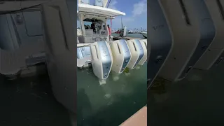 THE 600 V12’S SOUND INSANE #boating