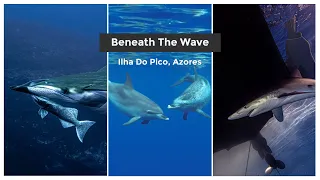 ZCUBA | Beneath The Wave | Pico Island, Azores