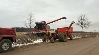 Classic Harvest 2017 - Farmer Bob Action - CASE IH 1666 - J.I.  Case 730 Comfort King