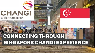 🇸🇬 Singapore Changi (SIN) Airport International Transfer & Connection Procedure