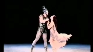 Plisetskaya Spartacus