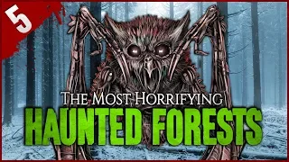 5 Most TERRIFYING Haunted Forests - Darkness Prevails