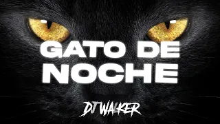 GATO DE NOCHE 😼🌕 [REMIX]  - Bad Bunny ✘ Ñengo Flow ✘ DJ Walker