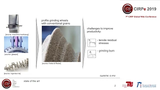 CIRPe2019 - Denkena et. al. - Process design of the patterning process of profile grinding...