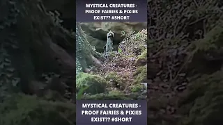 #MYSTICAL #CREATURES - PROOF #FAIRIES & #PIXIES EXIST??😱 | #fairies #pixie #mystical